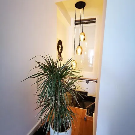 Apartmán Magnifique Duplex Vue *