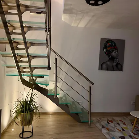 Magnifique Duplex Vue *